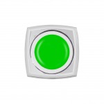 AMV-Neon Light Green 